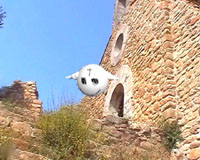 PULSA VER +